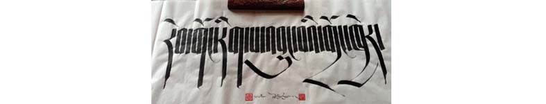 Banner profilu