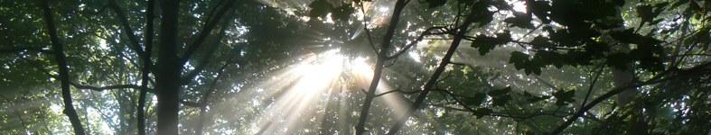 Banner profilu