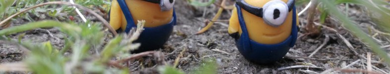 Banner profilu