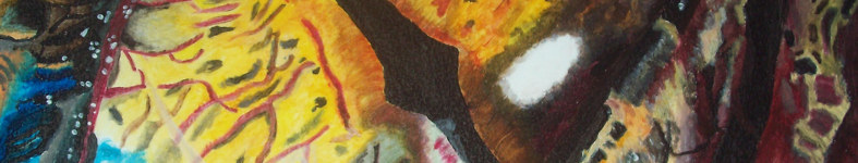 Banner profilu