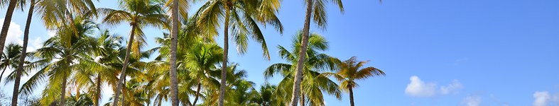 Banner profilu