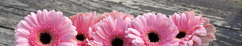 Banner profilu