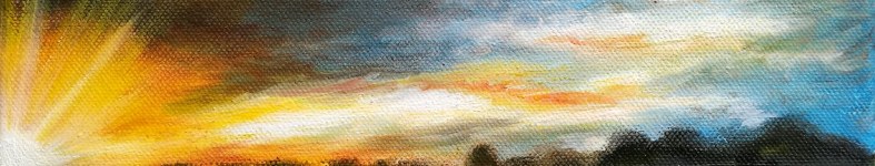 Banner profilu
