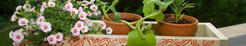 Banner profilu