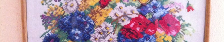 Banner profilu