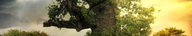 Banner profilu