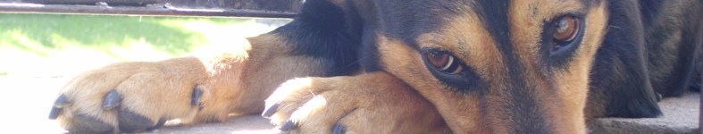 Banner profilu