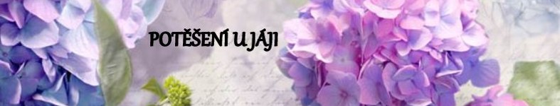 Banner profilu
