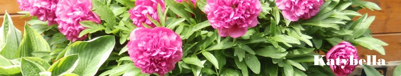 Banner profilu