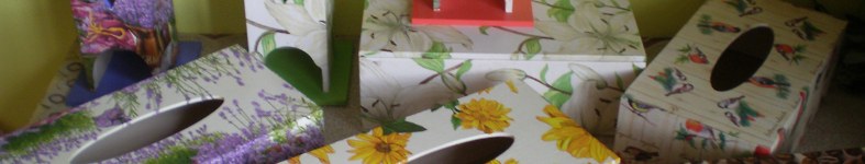 Banner profilu