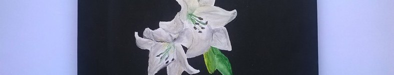 Banner profilu