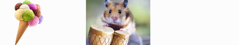 Banner profilu