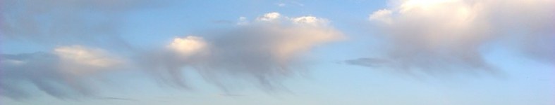 Banner profilu