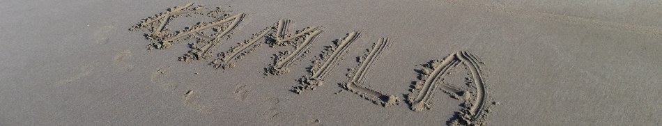 Banner profilu