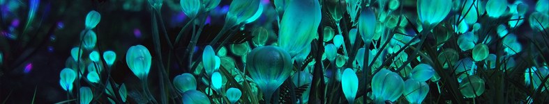 Banner profilu