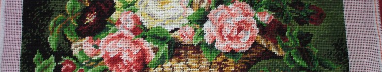 Banner profilu