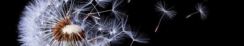 Banner profilu