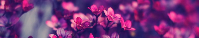 Banner profilu