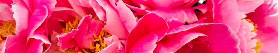 Banner profilu
