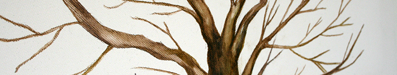 Banner profilu