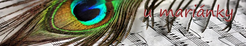Banner profilu