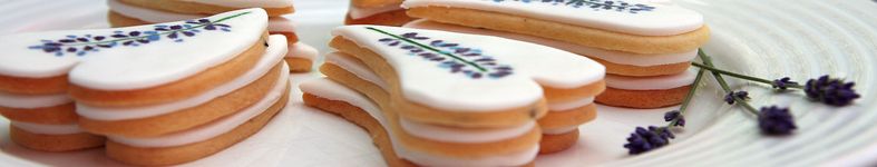 Banner profilu