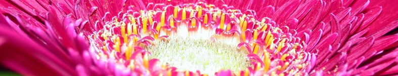Banner profilu