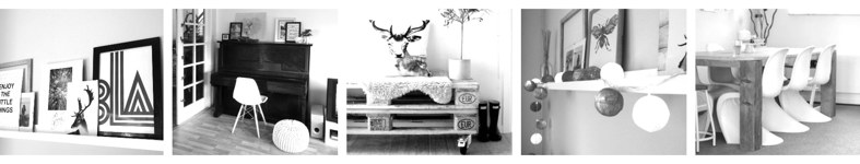 Banner profilu