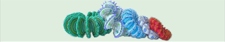 Banner profilu
