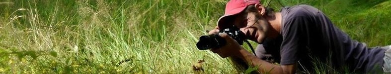 Banner profilu