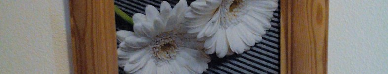 Banner profilu