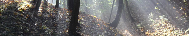 Banner profilu
