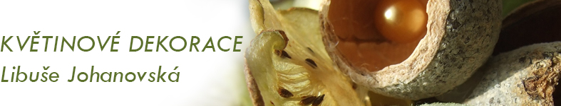 Banner profilu