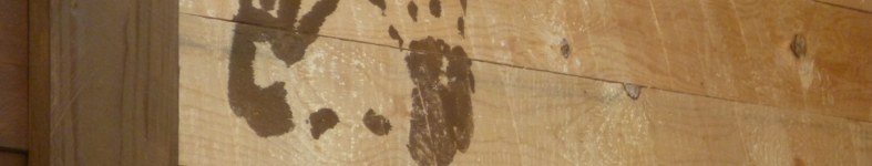 Banner profilu