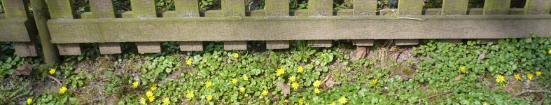 Banner profilu