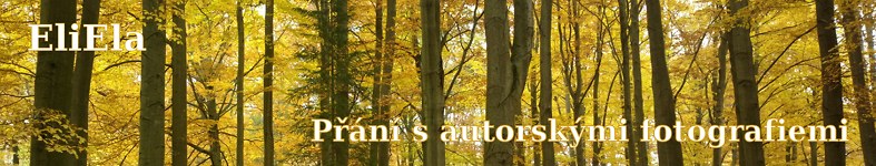 Banner profilu