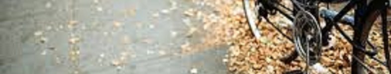 Banner profilu