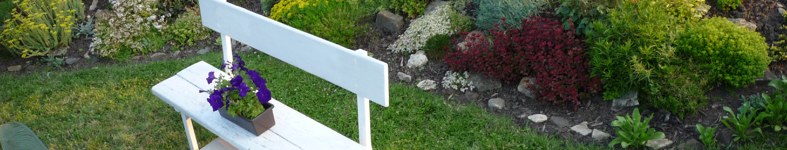 Banner profilu