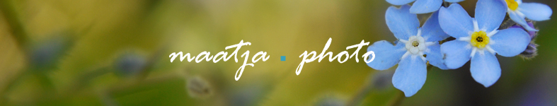 Banner profilu
