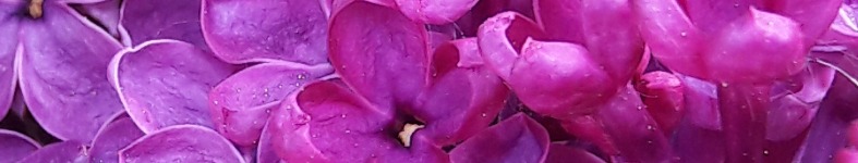 Banner profilu