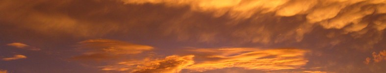 Banner profilu