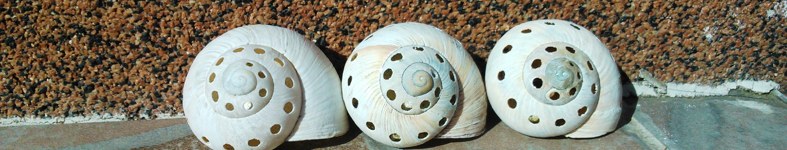 Banner profilu