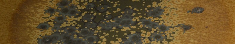 Banner profilu