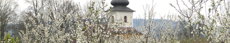 Banner profilu