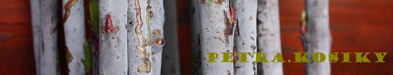 Banner profilu
