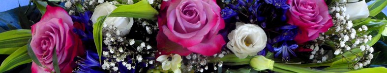 Banner profilu