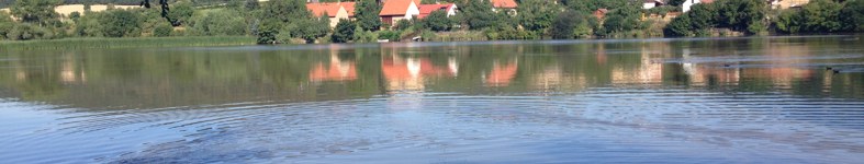 Banner profilu