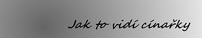 Banner profilu