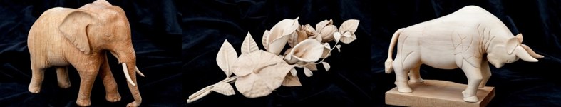 Banner profilu