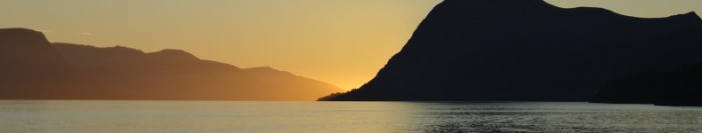 Banner profilu